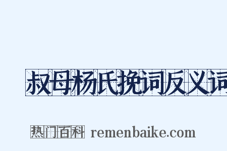 従叔母杨氏挽词反义词是什么意思的图片